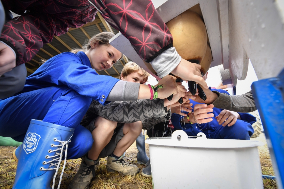 Kinder melken an künstlichem Euter