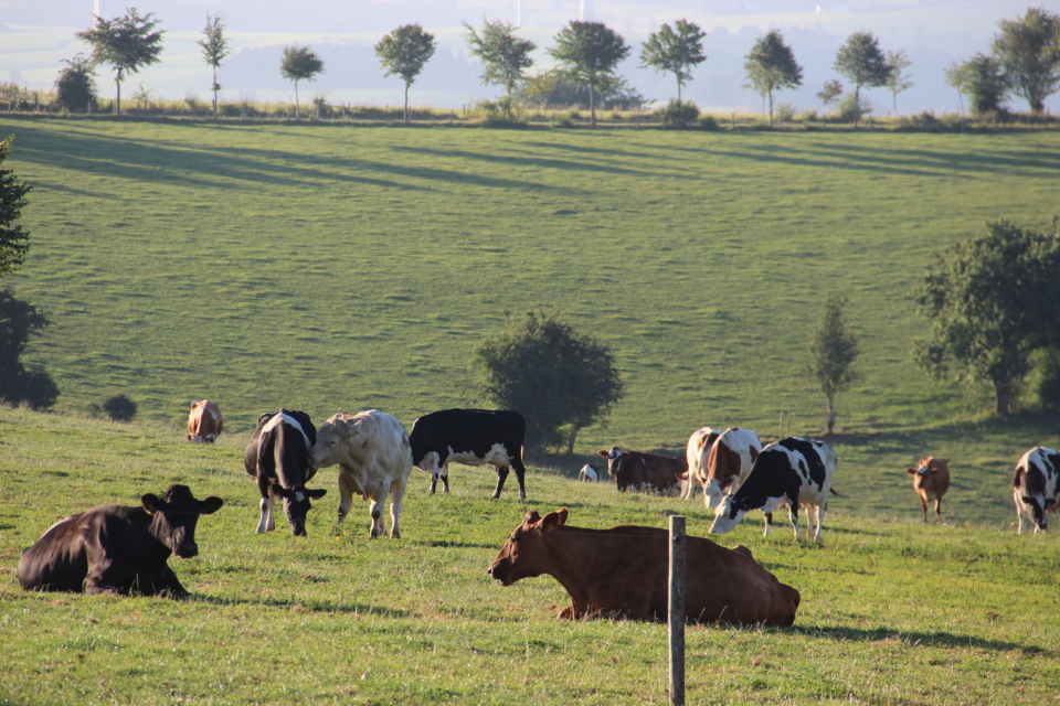 Aktuelles aus der Landwirtschaft DB1815Q03-04_Pachtgesetzreform_copyrightHelmuthVeiders