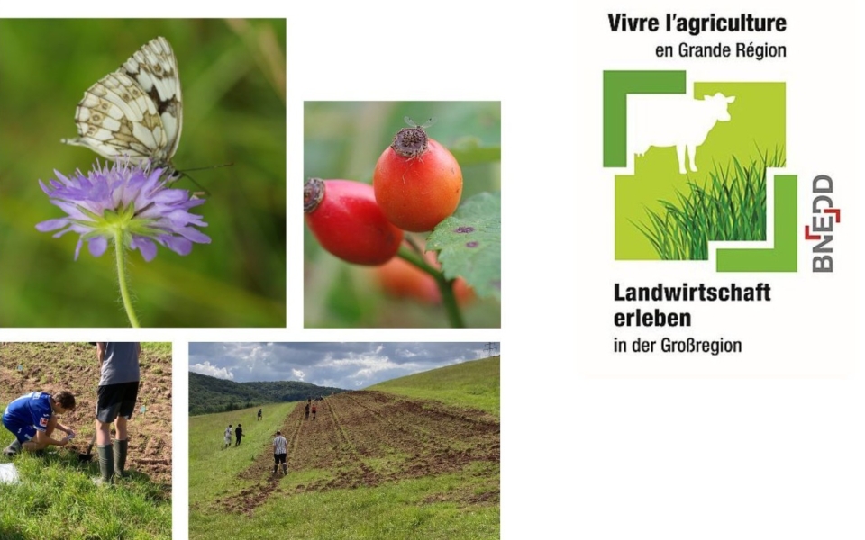 Bauernhofpädagogik – Themenmodul Klimawandel und Biodiversität