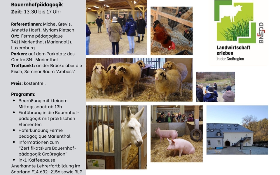 Bauernhofpädagogik – Schnuppermodul
