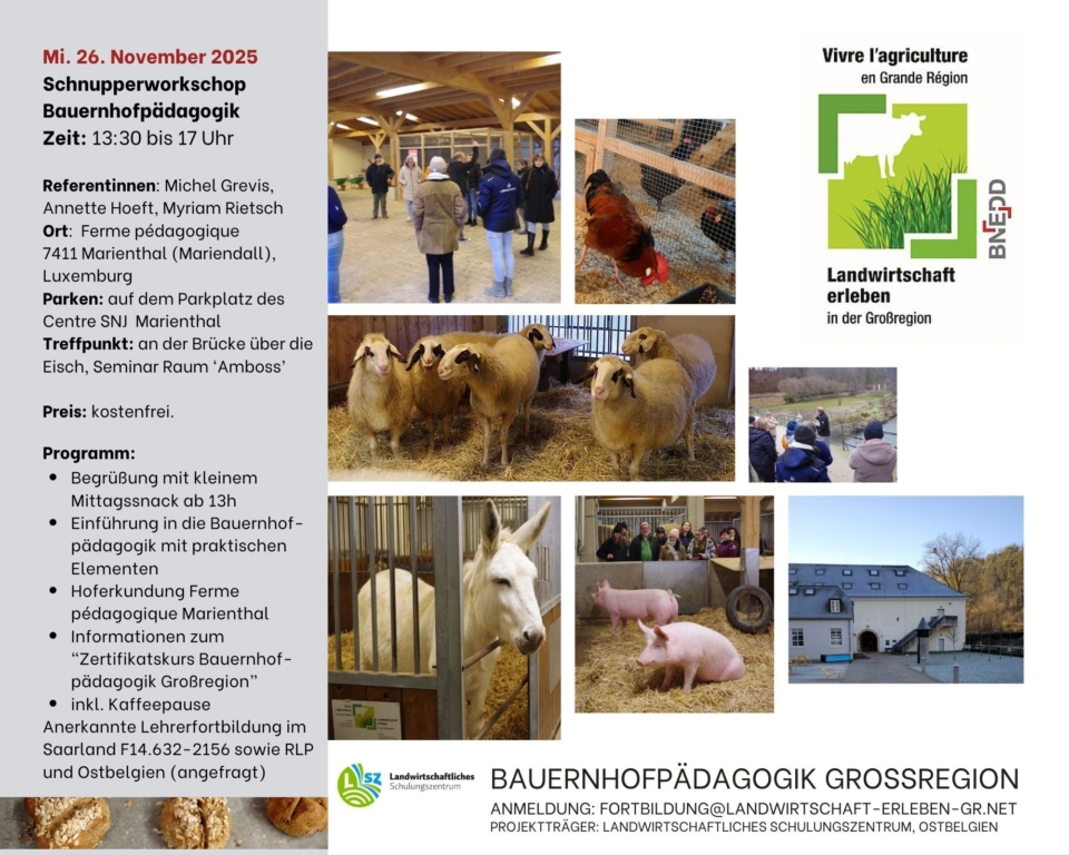 Bauernhofpädagogik – Schnuppermodul