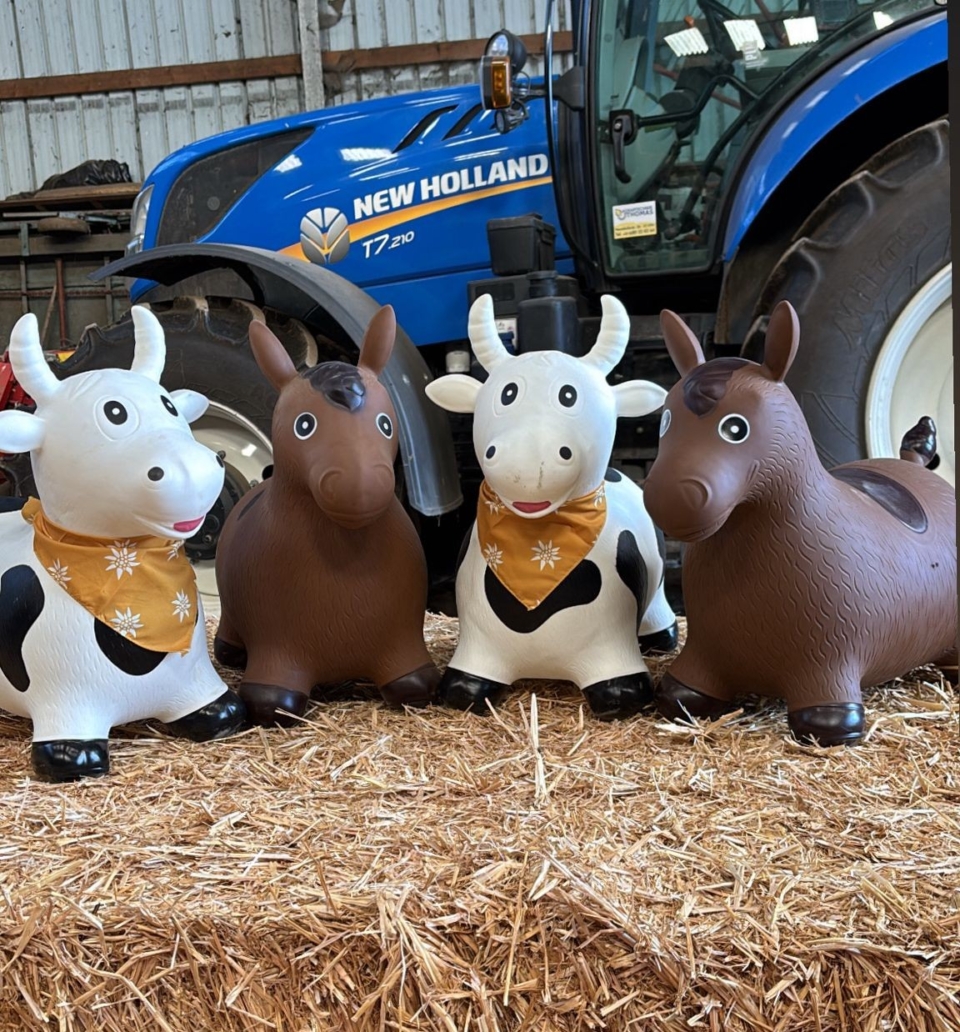 Bauernhofpädagogik – Neuer Zertifizierungskurs 2026-2027