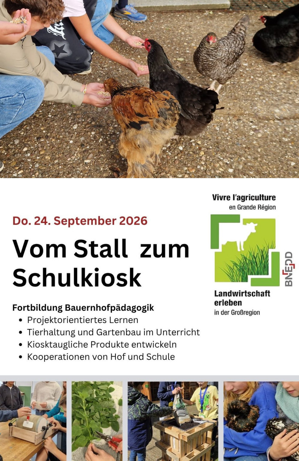 Bauernhopädagogik Themenmodul